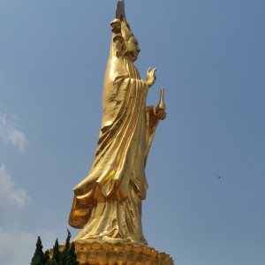 小城夏天的演奏视频