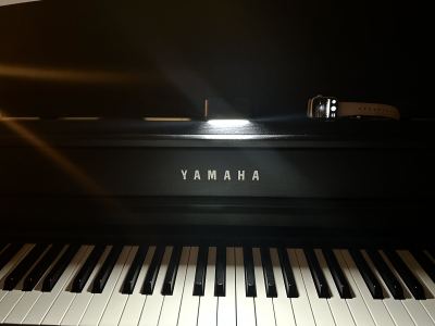 D大调卡农的演奏视频