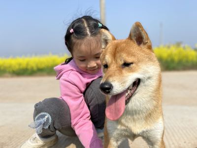 的演奏视频