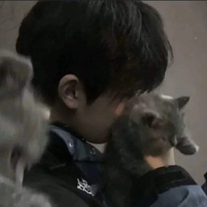 玫瑰少年的演奏视频