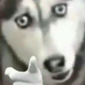 Luvsic的演奏视频