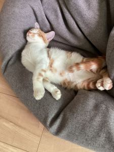 Summer的演奏视频