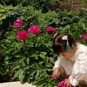 月亮代表我的心的演奏视频