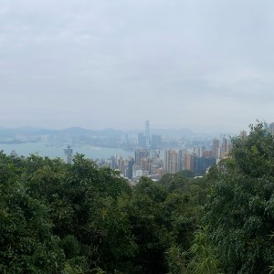 The Spectre的演奏视频