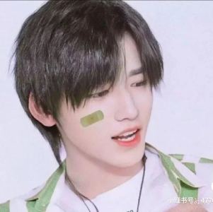 s f y b n x的钢琴谱