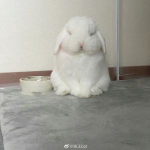 SUNBEAM_的钢琴谱