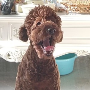 Unravel的个人空间