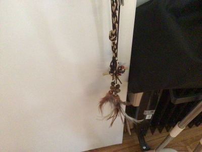 惊愕交响曲的演奏视频