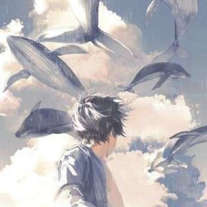 晚夜微雨问海棠的演奏视频