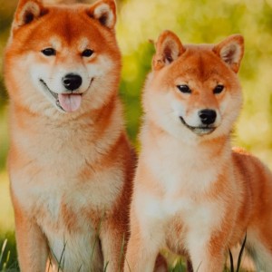 钢琴150****1644的个人空间