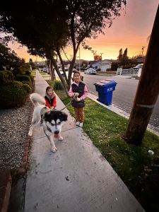 いつも何度でも的演奏视频