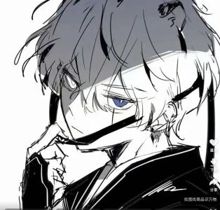 Normal No More的演奏视频