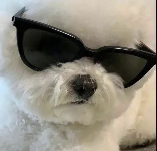 把钢琴当玩具的人的个人空间