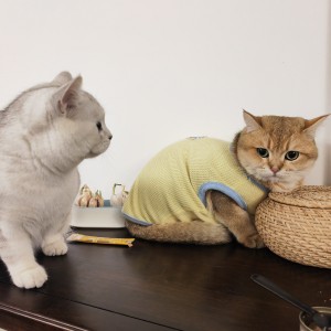 189****8997的个人空间