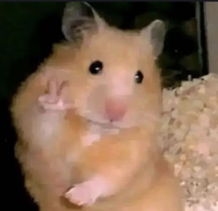 Pimprenelle的钢琴谱