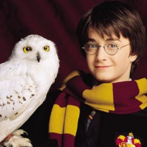 夜莺在歌唱的演奏视频