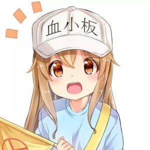 残酷な天使のテーゼ的演奏视频