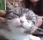 致爱丽丝的演奏视频