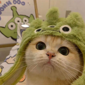 葬花的演奏视频