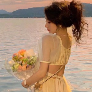 四小天鹅舞曲的演奏视频