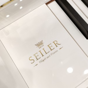 那些年的演奏视频