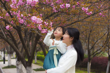 153****4016的钢琴谱