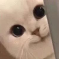 蜡笔小芯^0^的钢琴谱