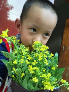 170****2717的钢琴谱