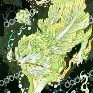 一壶清酒的个人空间