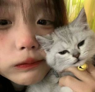いうの的钢琴谱