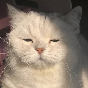157****3767的钢琴谱