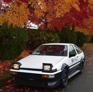 晴天的演奏视频