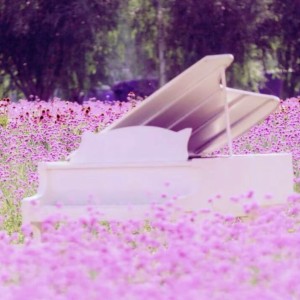 第49首的演奏视频