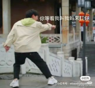 但愿人长久的演奏视频