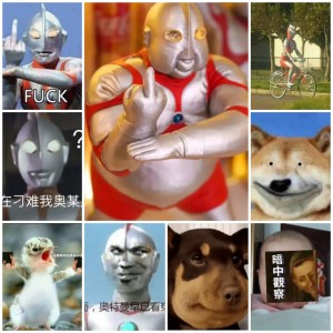 玛丽有只小羊羔的演奏视频