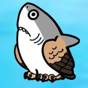 3级-野玫瑰的演奏视频