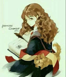 赫敏女侠姐姐的个人空间