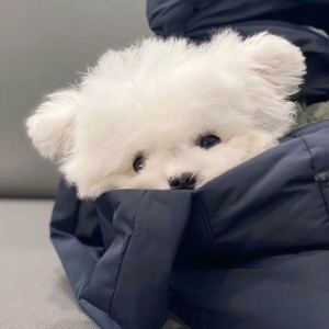 Kiss the Rain的演奏视频