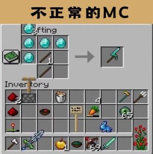 弹琴的MC 搞怪玩家的个人空间