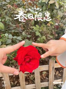 夕落夏阳的钢琴谱