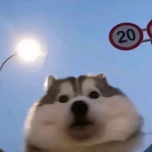 A lonely person的钢琴谱