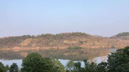 Hedwig's Theme的演奏视频