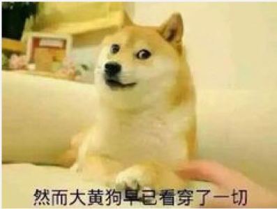 鸡你太美的钢琴谱