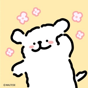 陪你走过一年四季的演奏视频