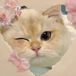 Yolanda正在练琴的钢琴谱