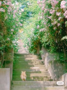 132****2069的钢琴谱