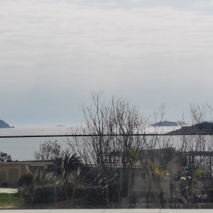 鞠子味的橘子的钢琴谱