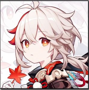 的演奏视频