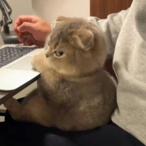 手可摘星辰的个人空间