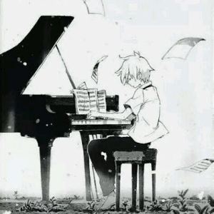 篇章的演奏视频